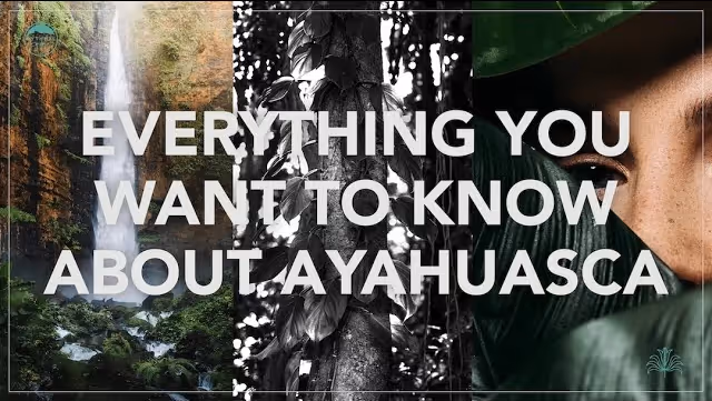 Everything You Want to Know About Ayahuasca