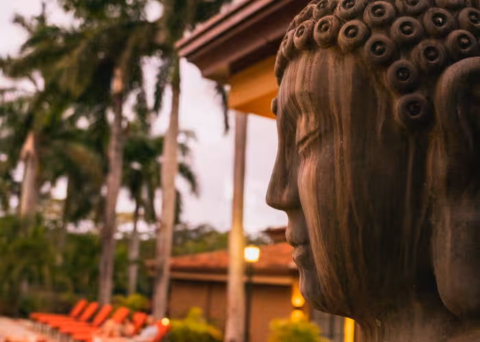 Traveling to Costa Rica for Your First Wellness Retreat: A Complete Guide