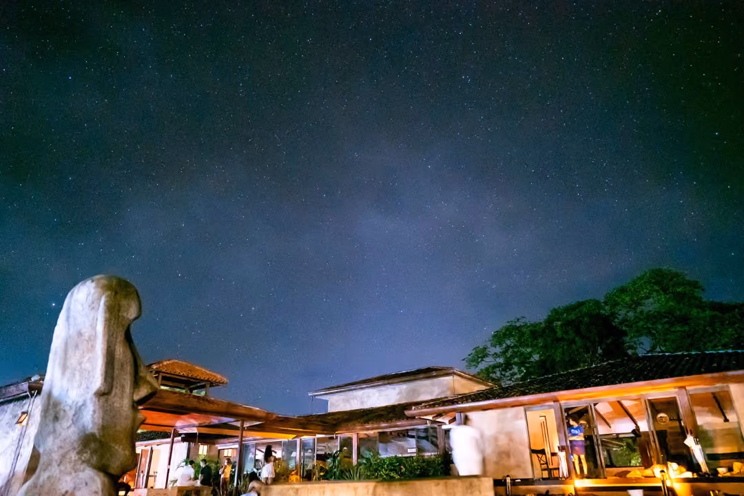 Ayahuasca History, Science & Ceremony