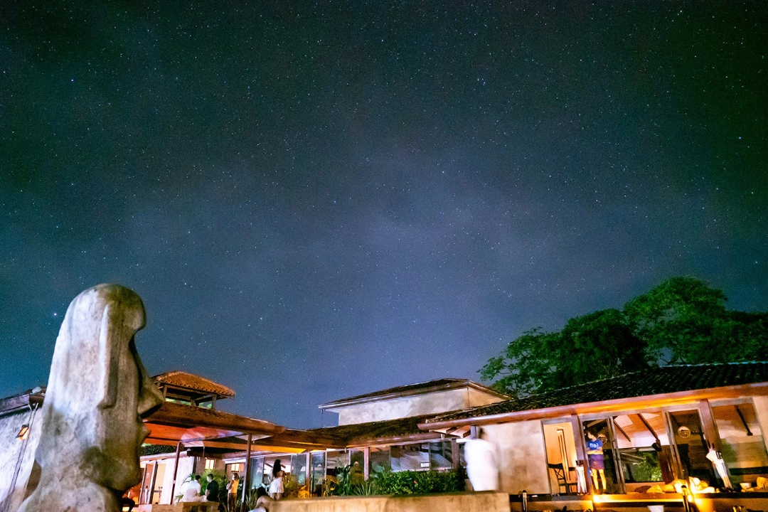 Ayahuasca History, Science & Ceremony