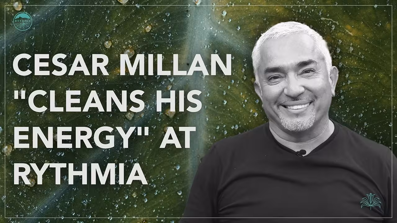 Cesar Millan