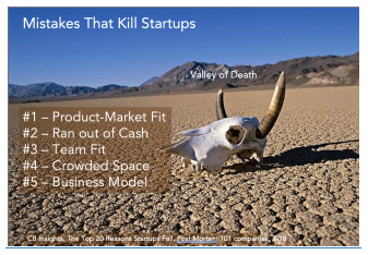 The dry desert with the remains of an animal skull.