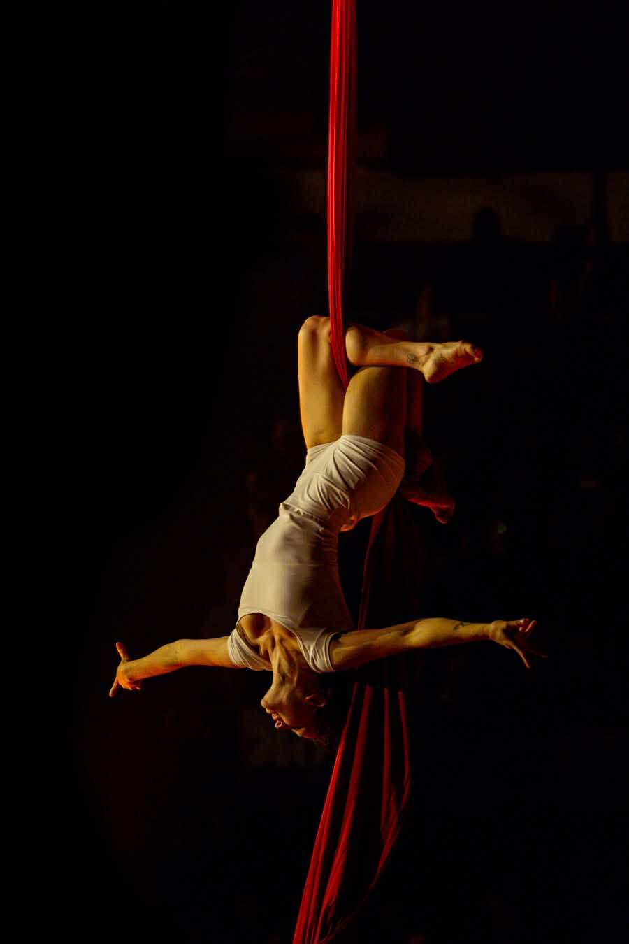 Credit: Jimmy Plante