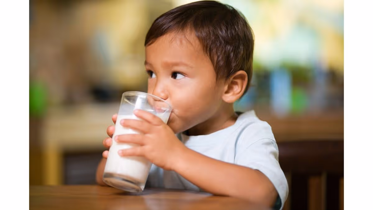 Milk and plant-based milk options