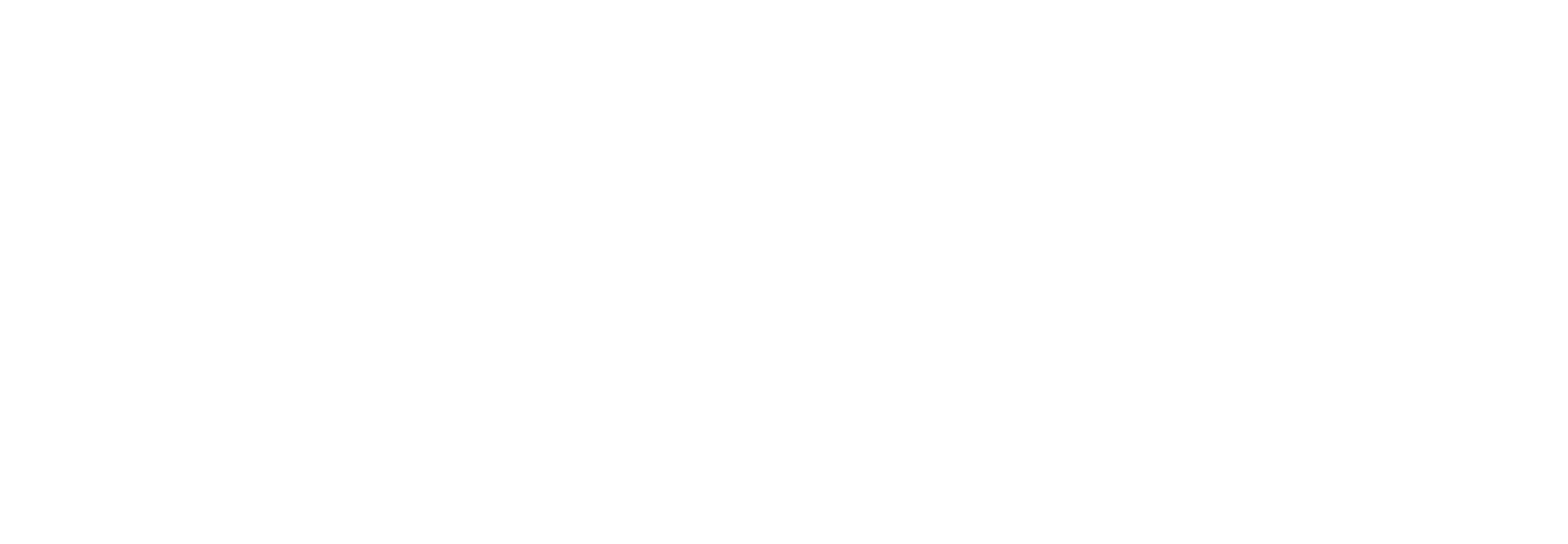 fin logo