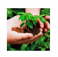 GreenThumb