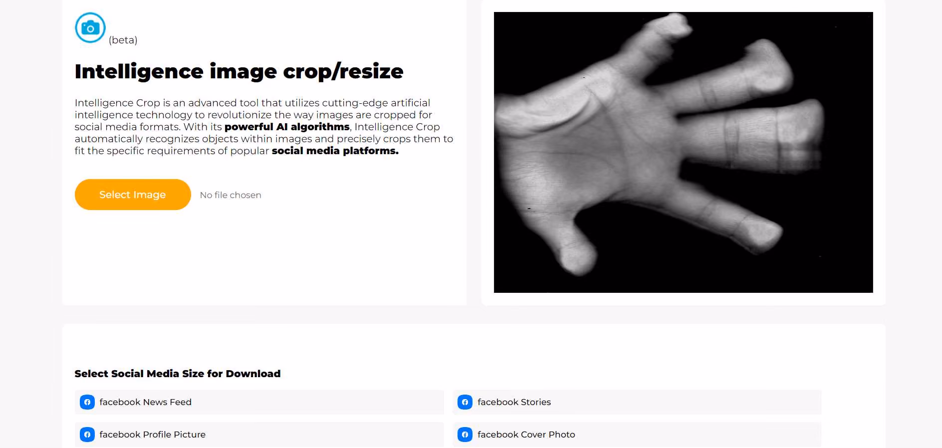 Intelligence Image Crop/Resize, powered by AI, is a handy tool for optimizing images destined for social media sharing. With its intuitive interface, users can effortlessly select their preferred social media platform and the image size needed – be it a profile picture, cover photo, news feed post, or story.