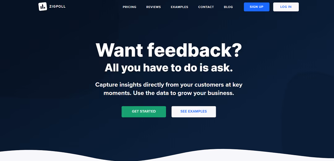 Zigpoll is a user-friendly survey and feedback platform that collects valuable zero-party data through post-purchase surveys, interactive polls, and more.
