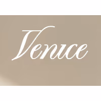 Venice AI 