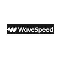 WaveSpeedAI 