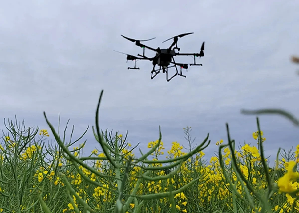 Aplikácia listového hnojiva Nutrino