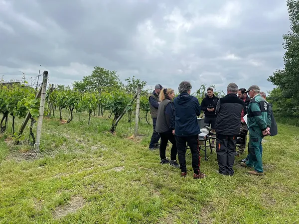 Prezentácia postreku dronom DJI Agras T30 vo vinohrade