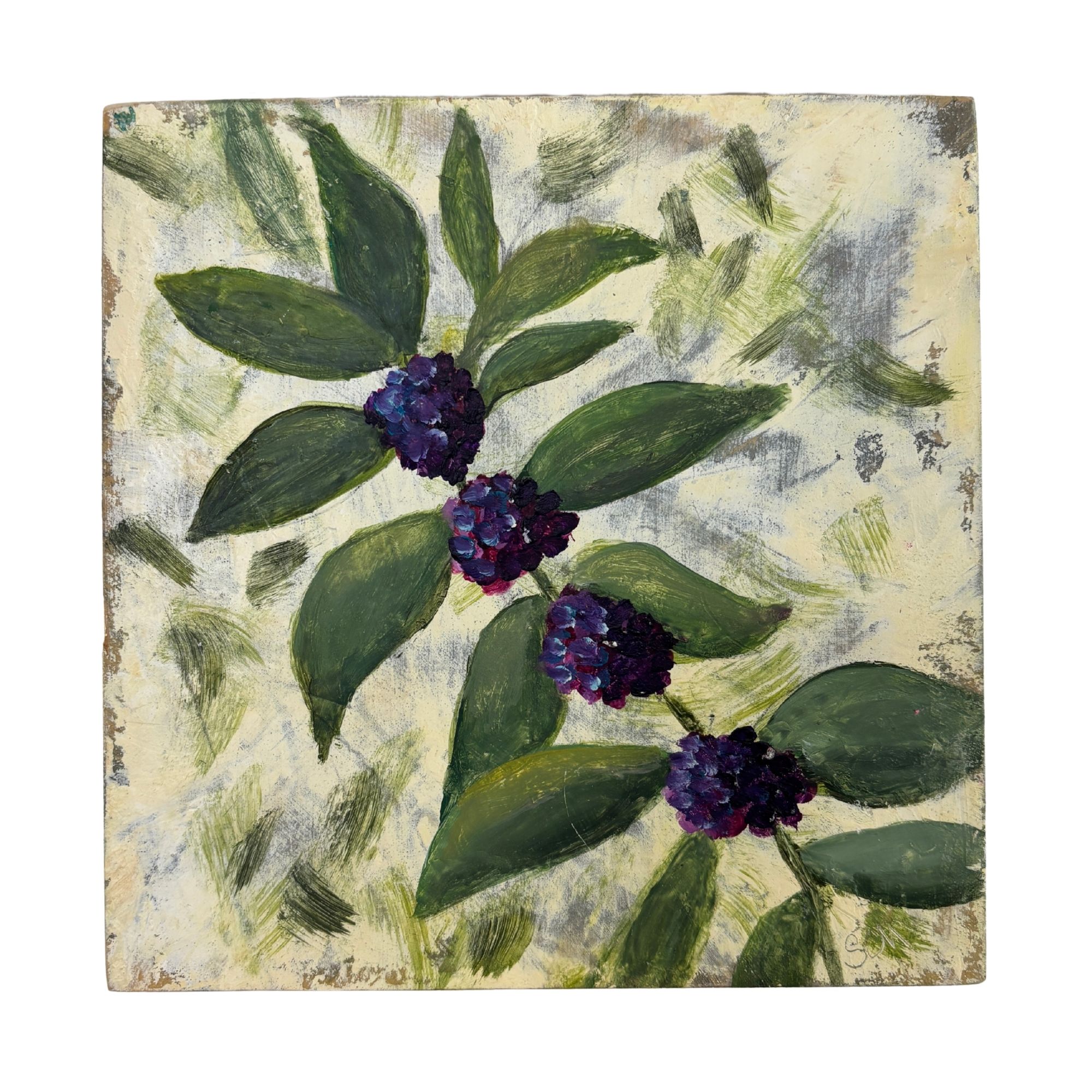 American Beauty by Susan Moore