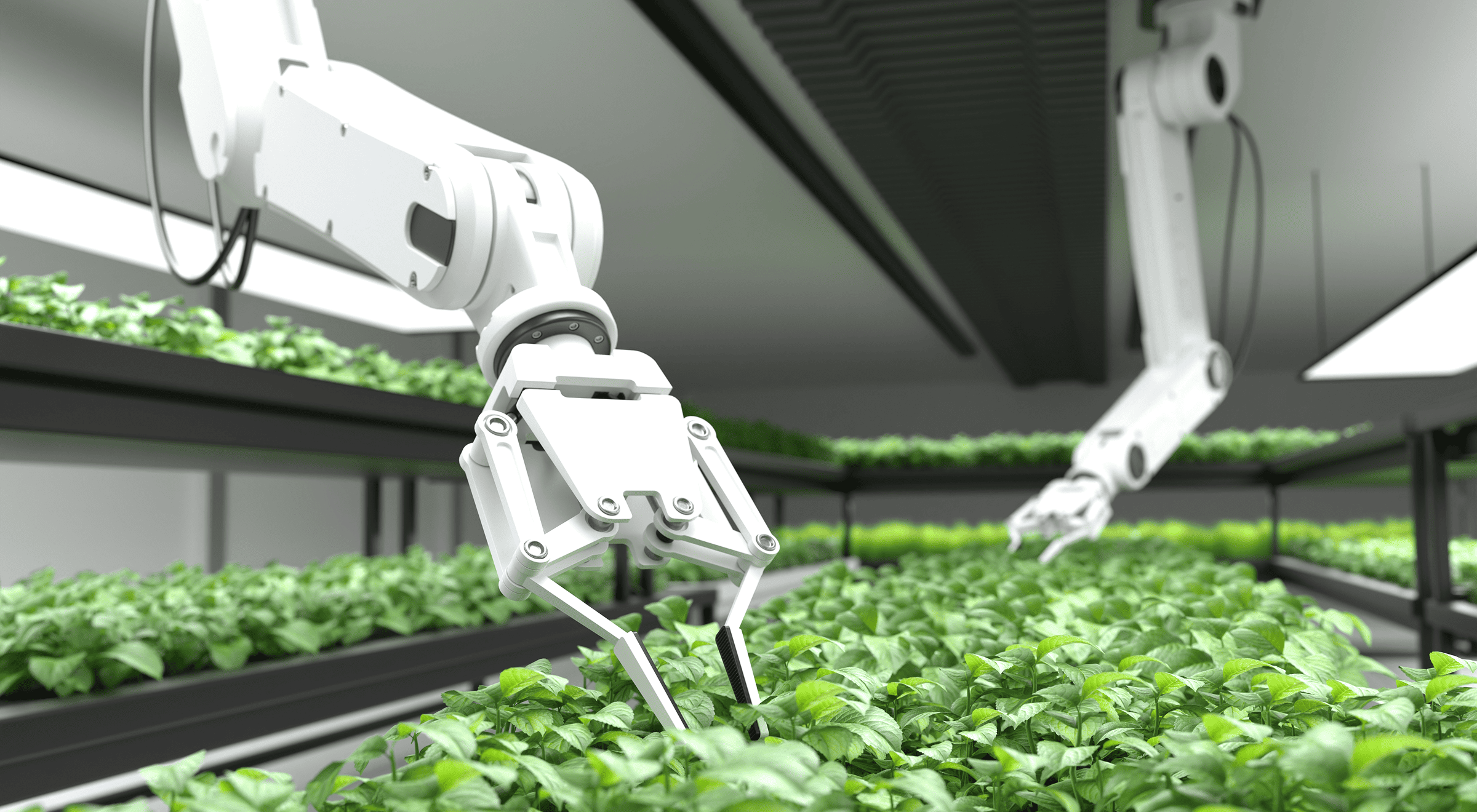 Robotic arm with mechanical gripper harvesting plants in a controlled environment