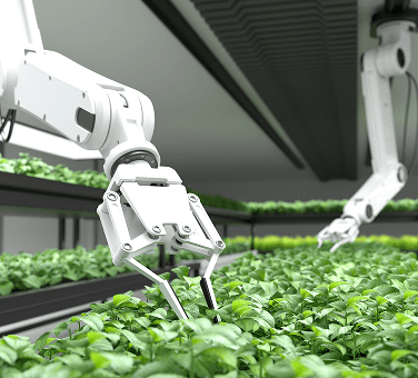Robotic arm with mechanical gripper harvesting plants in a controlled environment