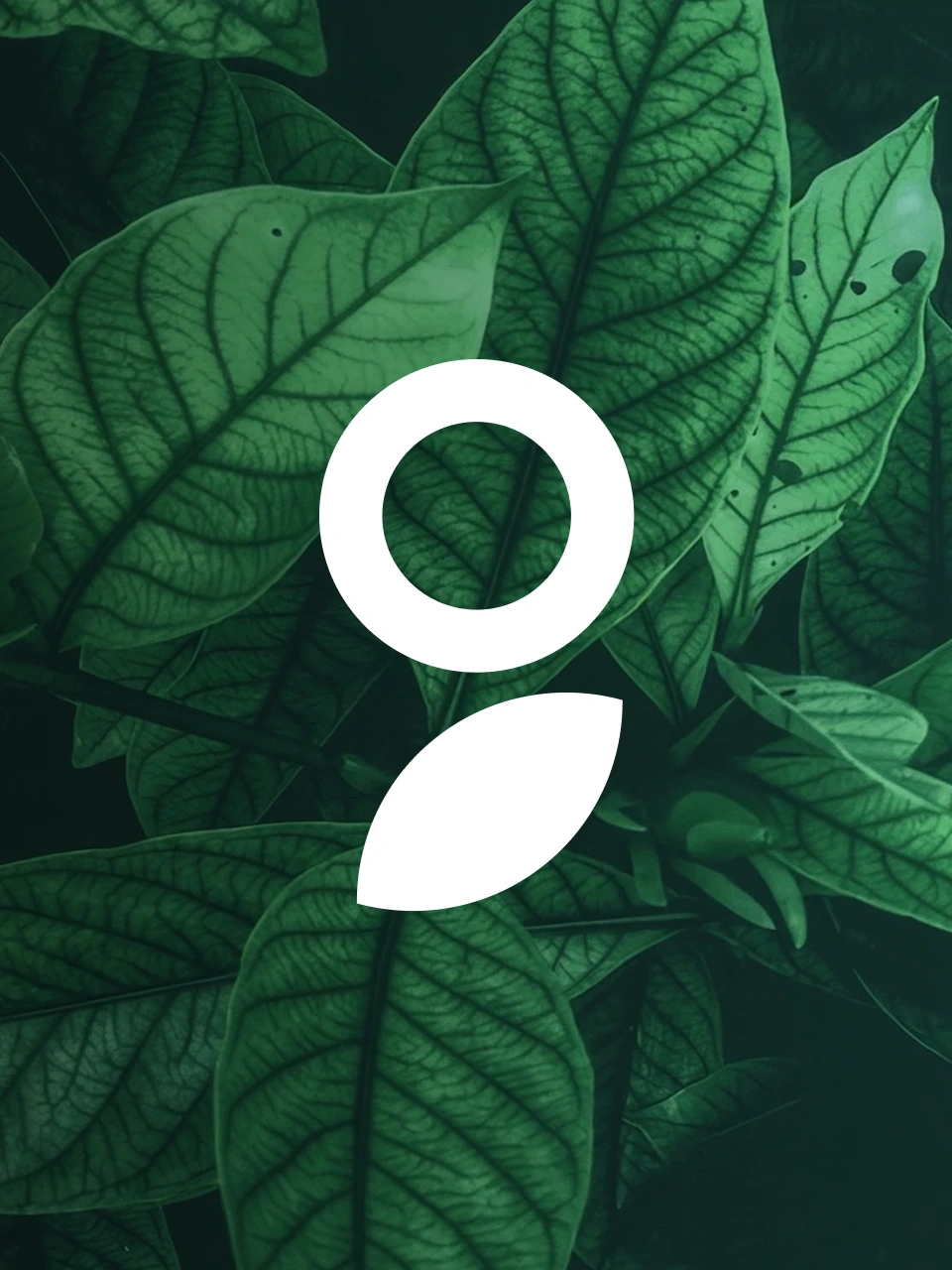 Eco branding: white circular logo, vibrant green leaf textures