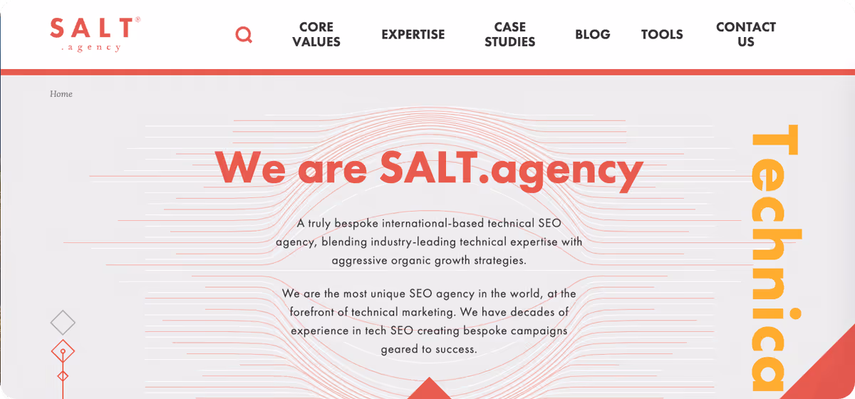 Salt Agency - link to website