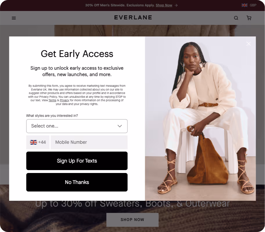 Exit-Intent Pop-up Example