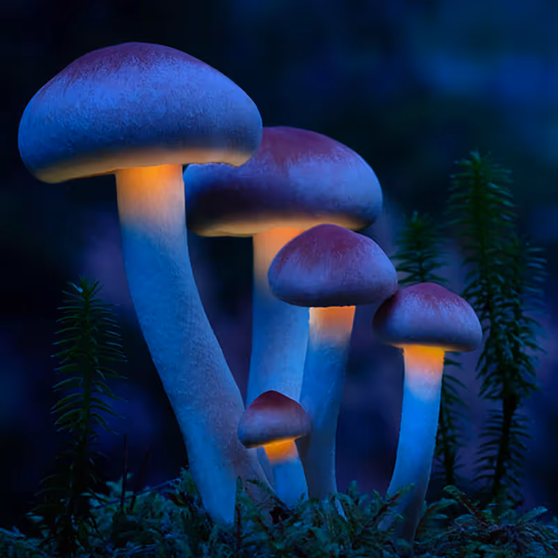 Blue