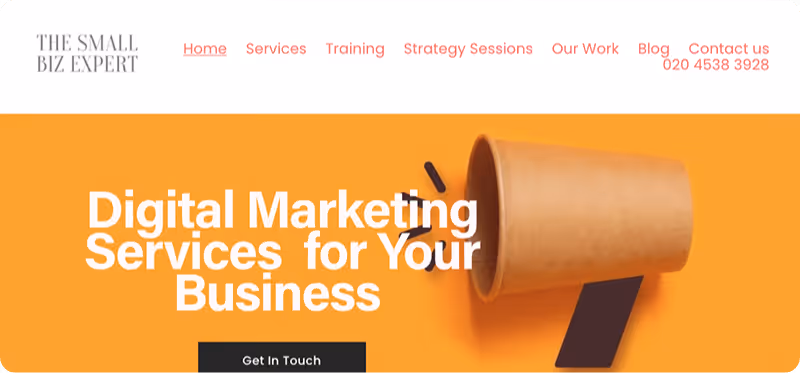 The Small Biz Expert homepage - link to website