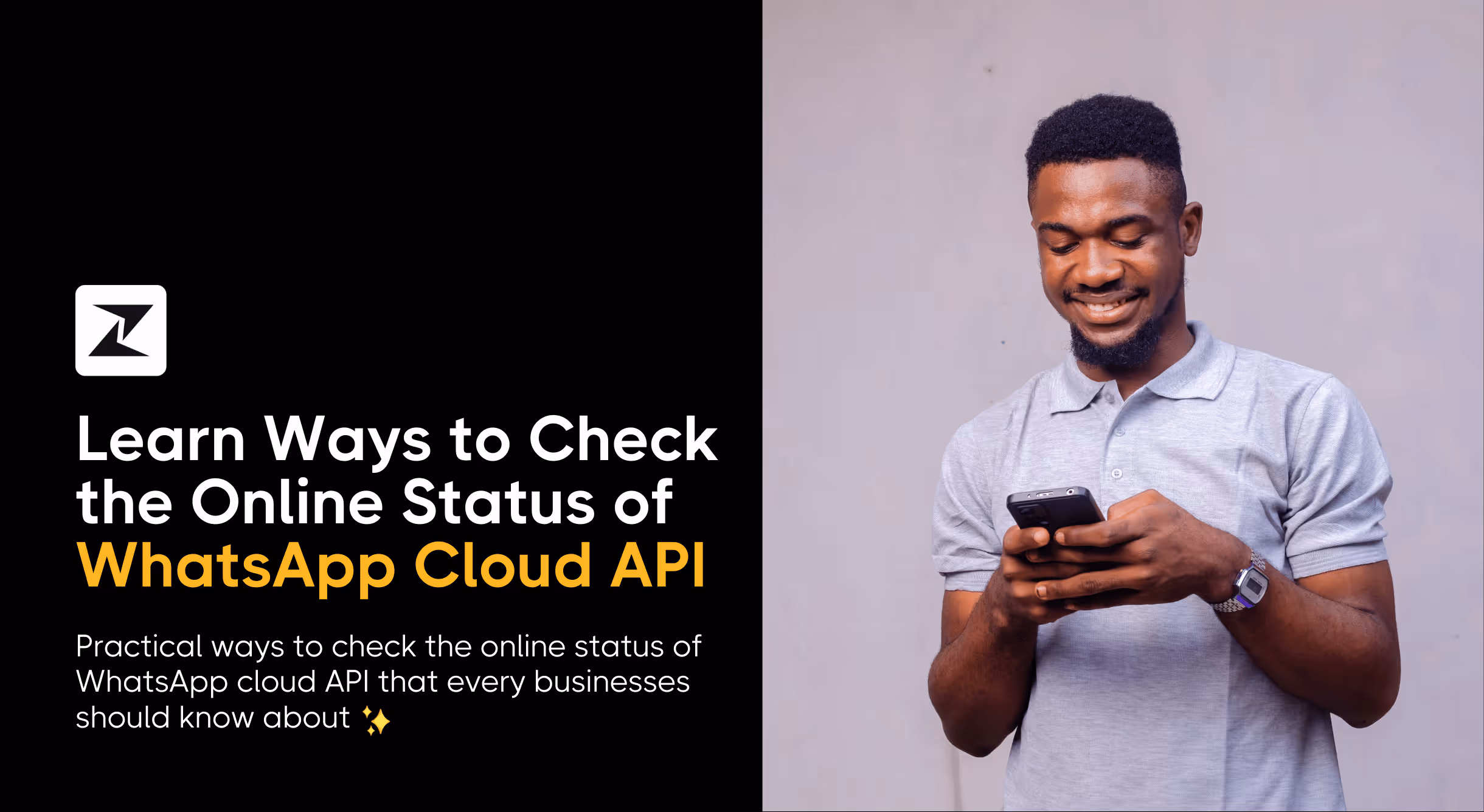 How to Check the WhatsApp Cloud API Online Status: 4 Ways with Steps