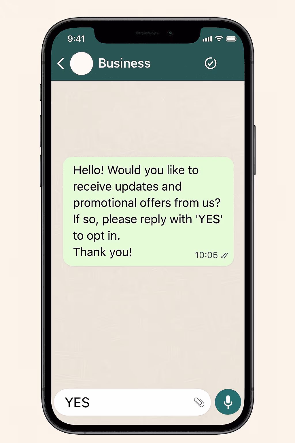 An example of a WhatsApp opt-in message sent by a business. 