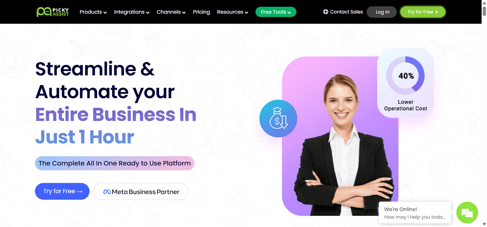 Homepage of Picky Assist.