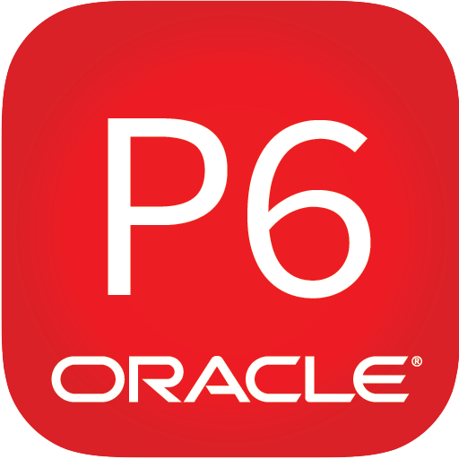 P6 logo