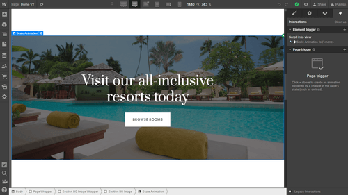 Animations - Suite X Webflow Template