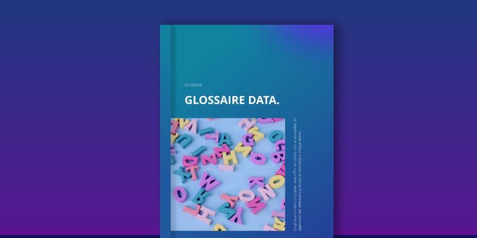 Glossaire data