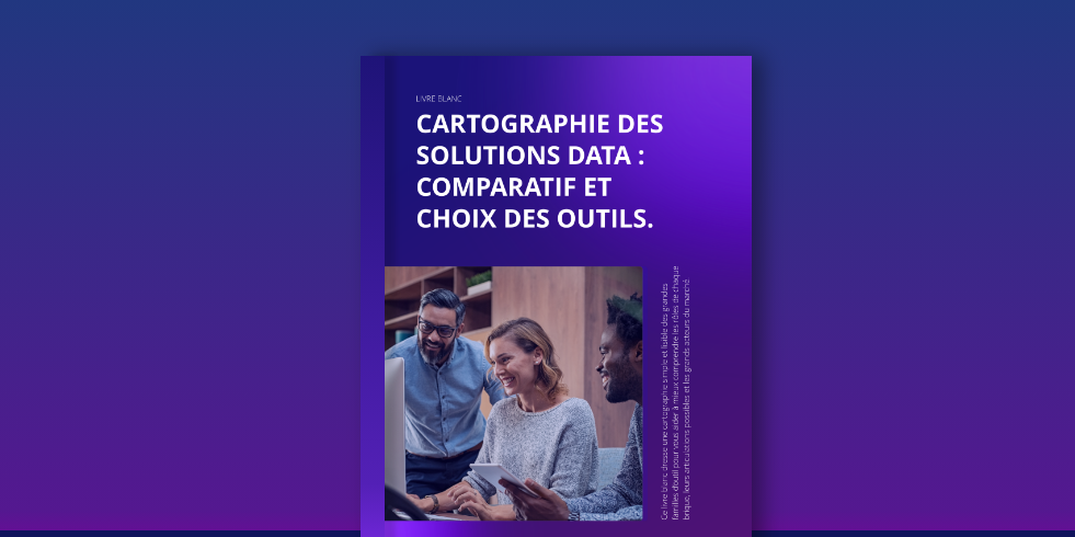 livre blanc cartographie des solutions data