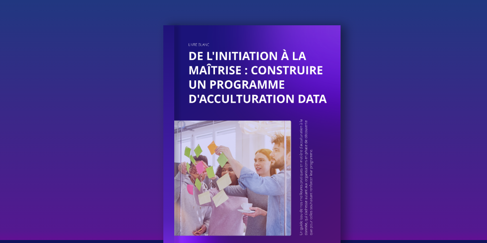 livre blanc gouvernance de données