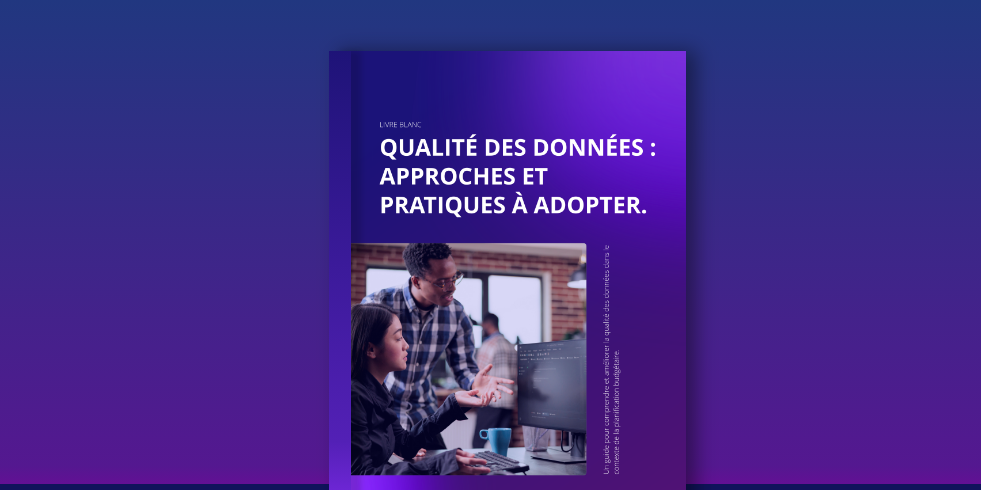 livre blanc qualité des données
