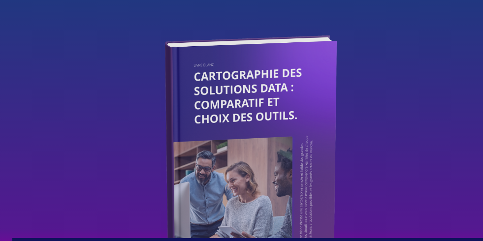 livre blanc cartographie des solutions data