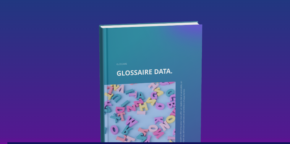 Glossaire data
