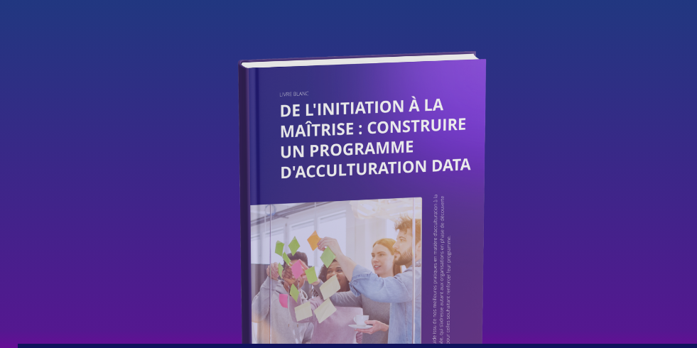 livre blanc gouvernance de données