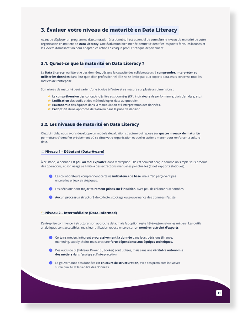 Page sur le modèle de maturité en Data Literacy