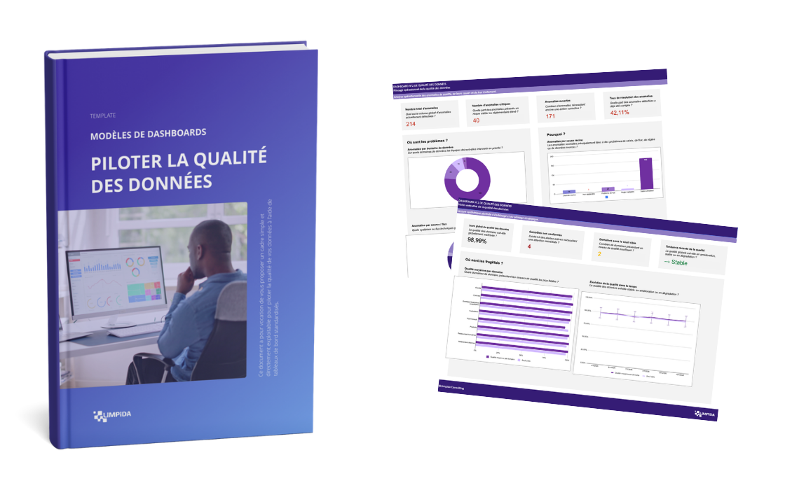 Aperçu du template Excel Limpida de pilotage de la qualité des données