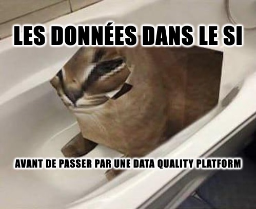 Meme Data Quality Plateforme