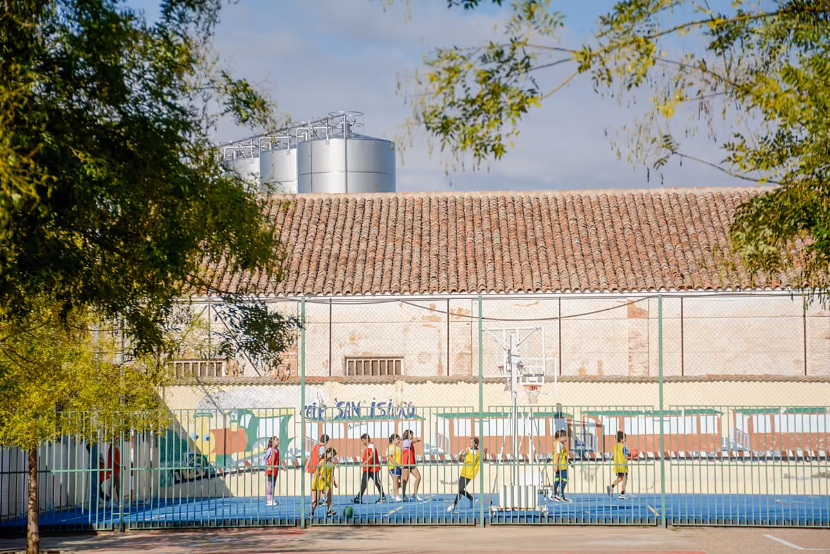 Colegio