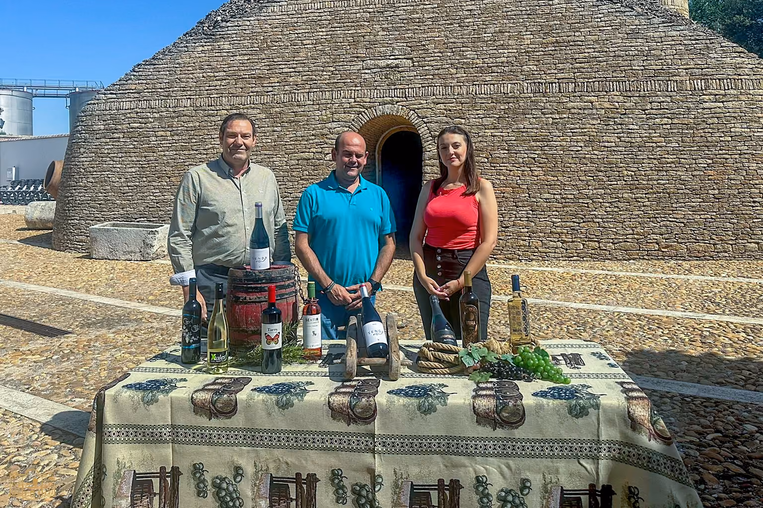 Los concejales de Agricultura y Promoción Económica y el presidente de la Hermandad San Isidro, con los vinos premiados