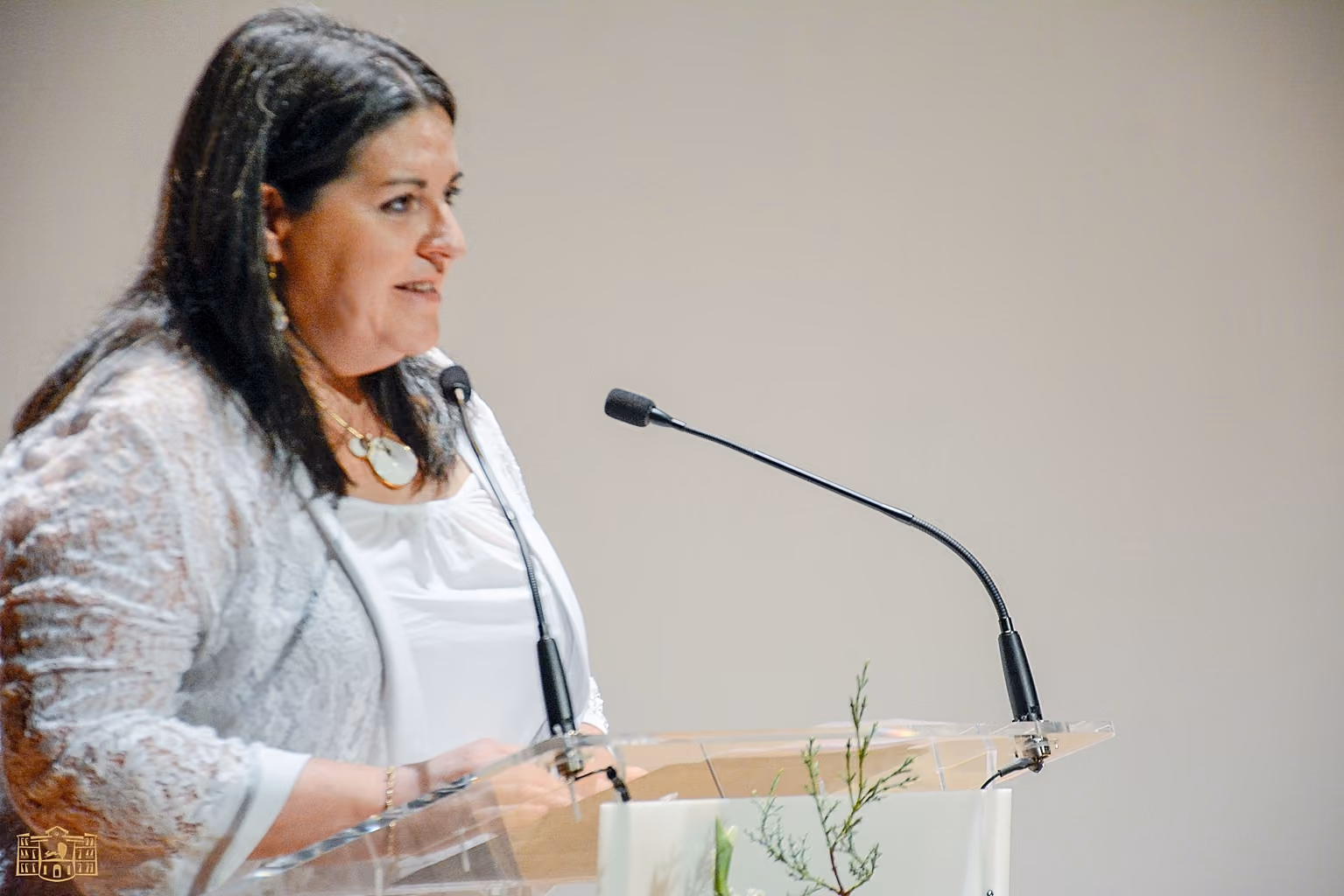 Inés Losa, concejala de Cultura 