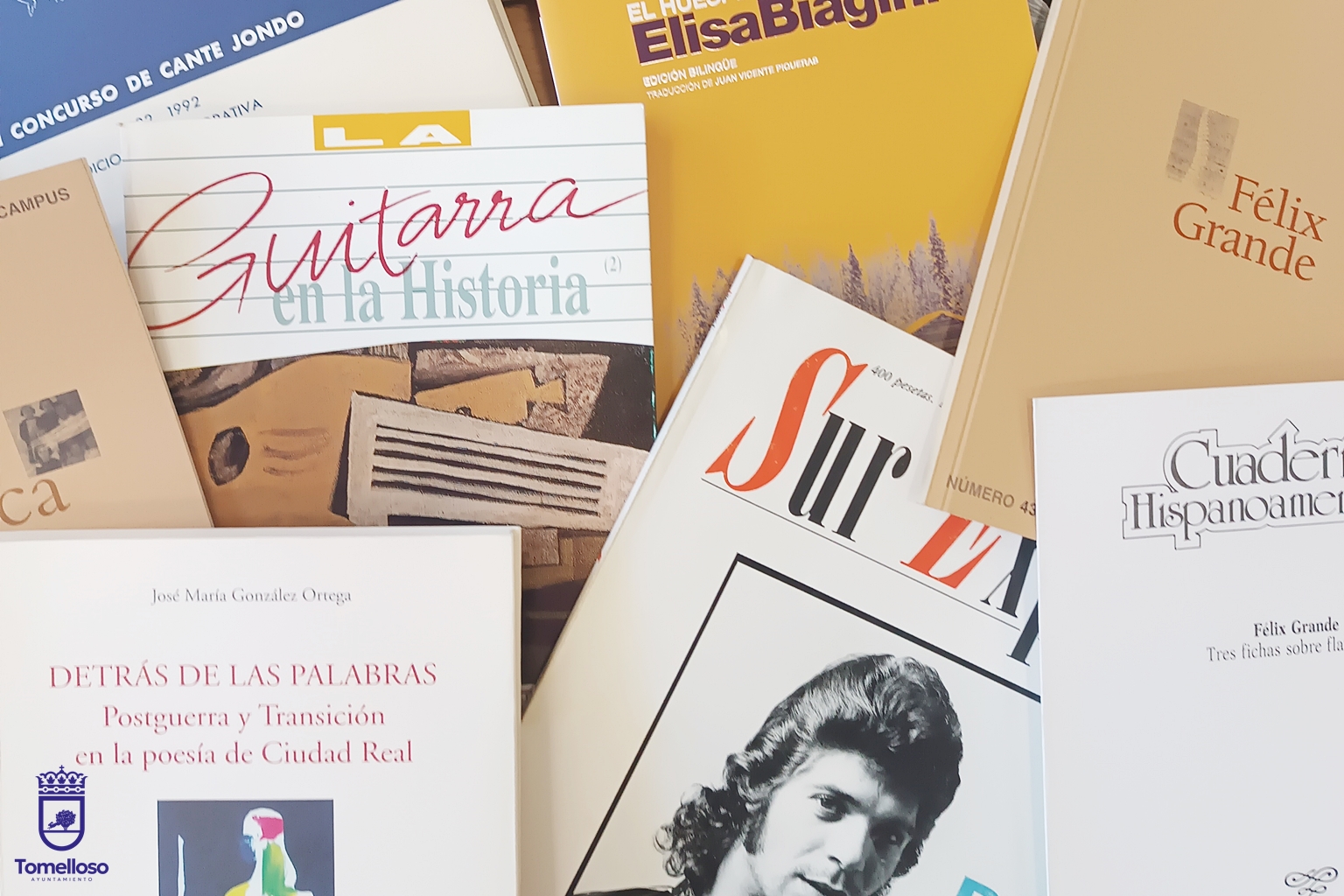 Algunos de los volúmenes incluidos en el legado de Félix Grande