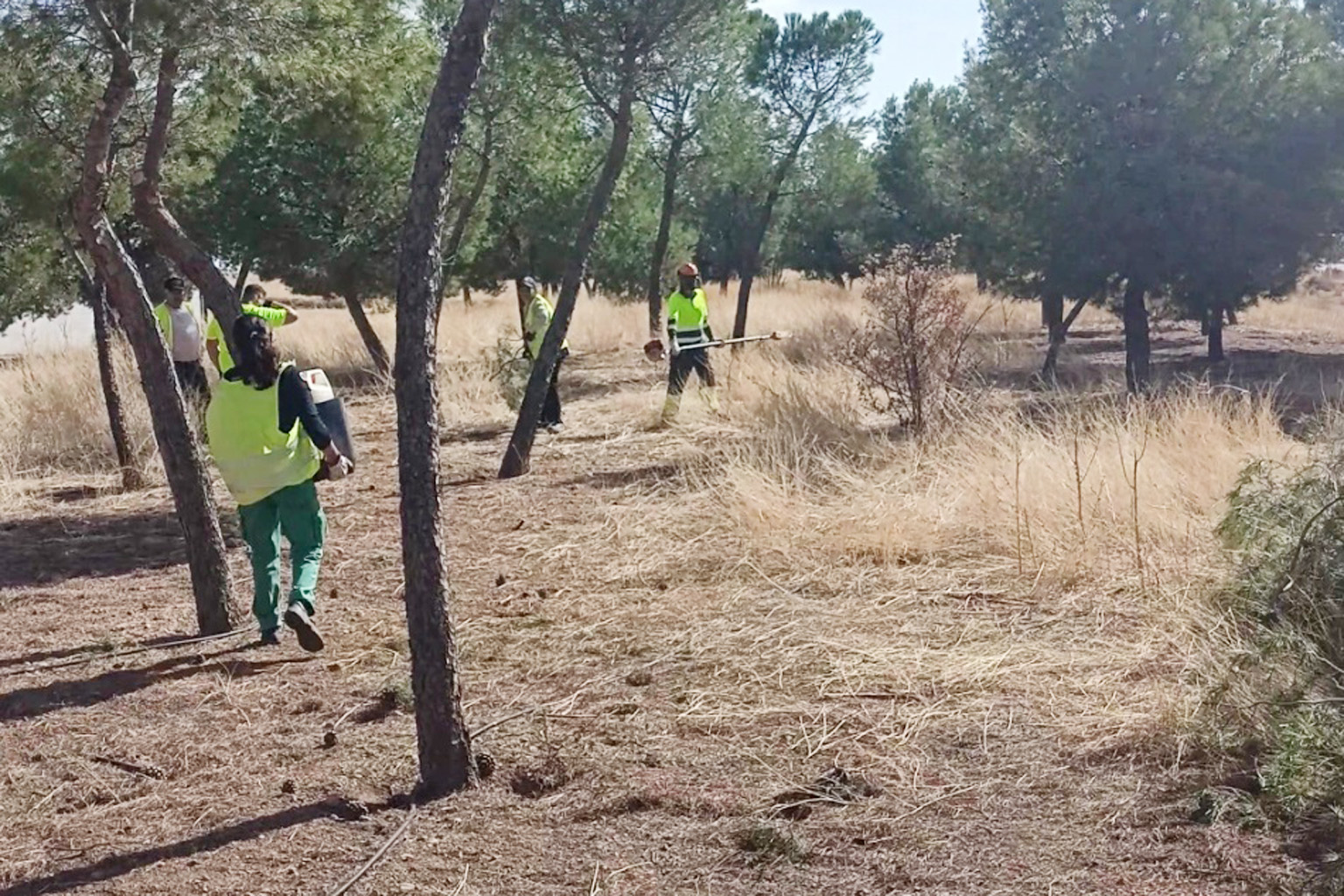 Imagen de trabajadores realizando tareas de limpieza en polígono Los Portales