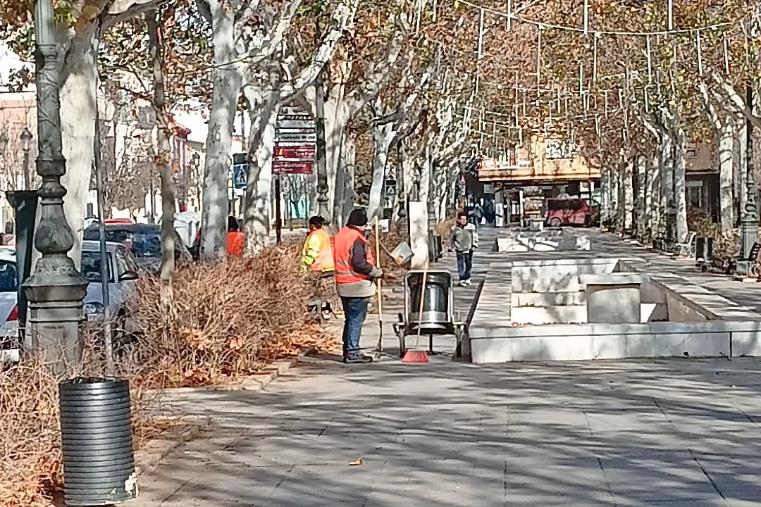 Trabajador de Brigadas de Limpieza