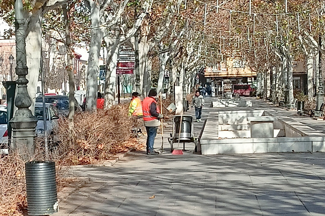 Trabajador de Brigadas de Limpieza