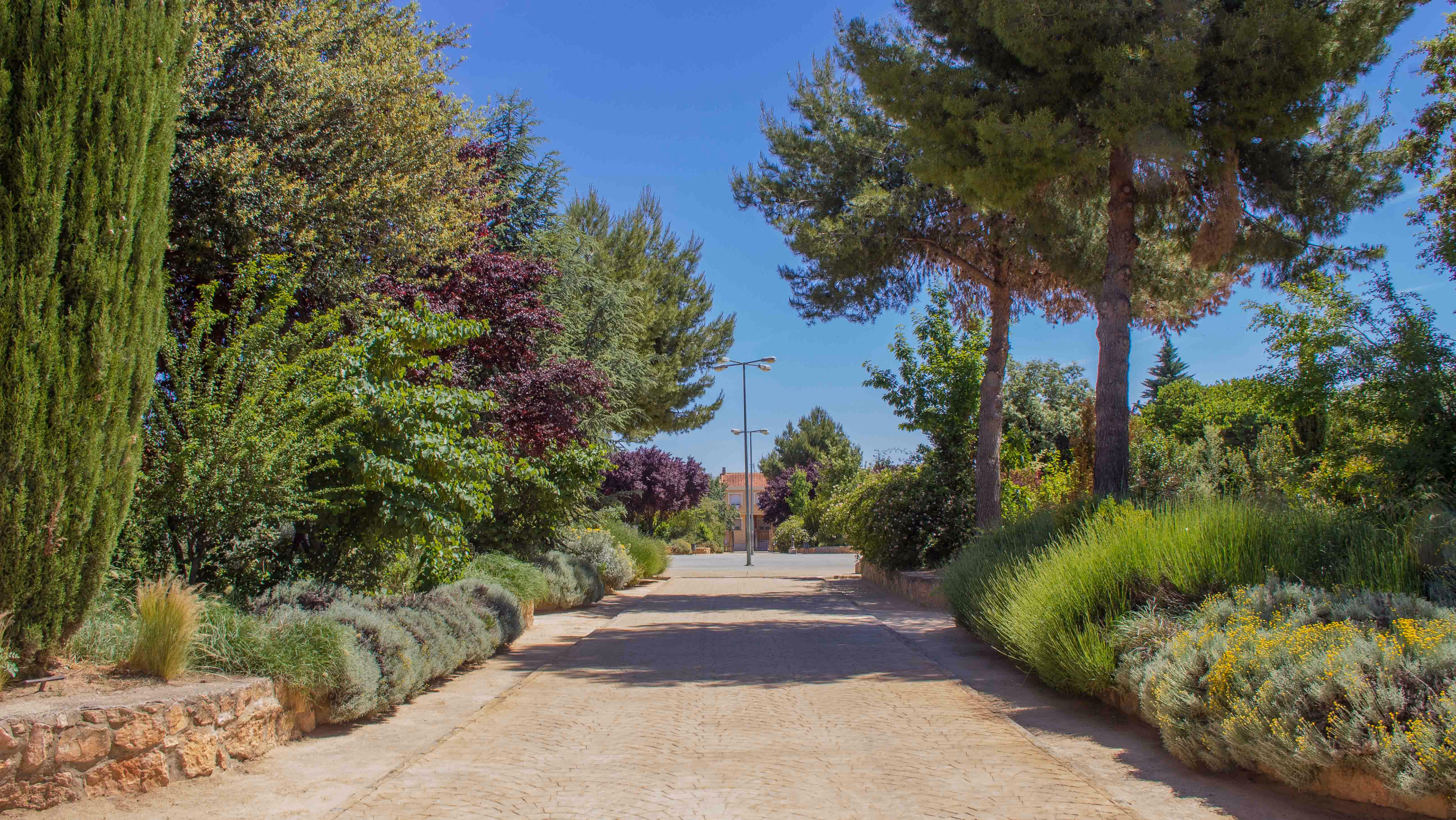 Parque