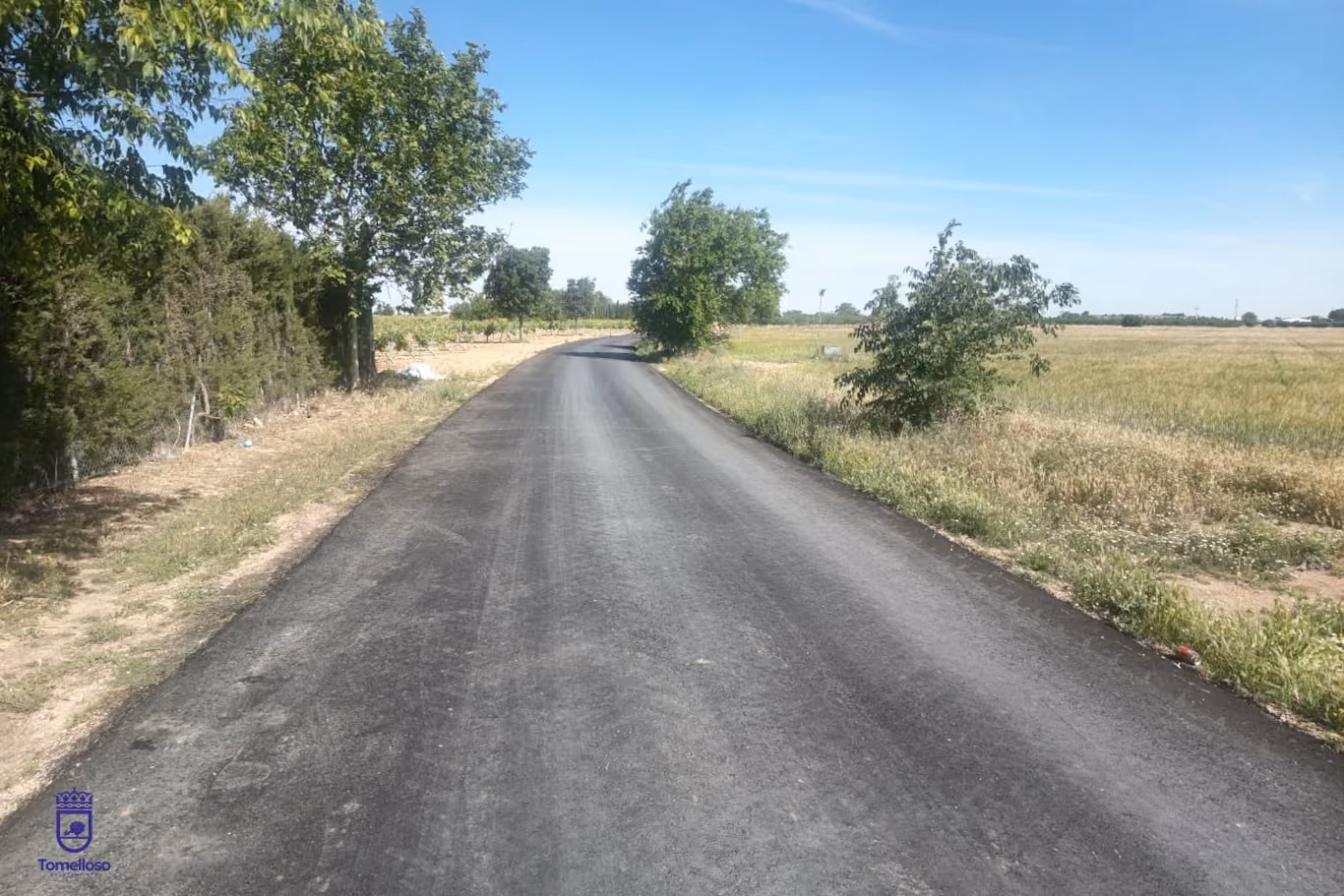 Camino de Alcázar