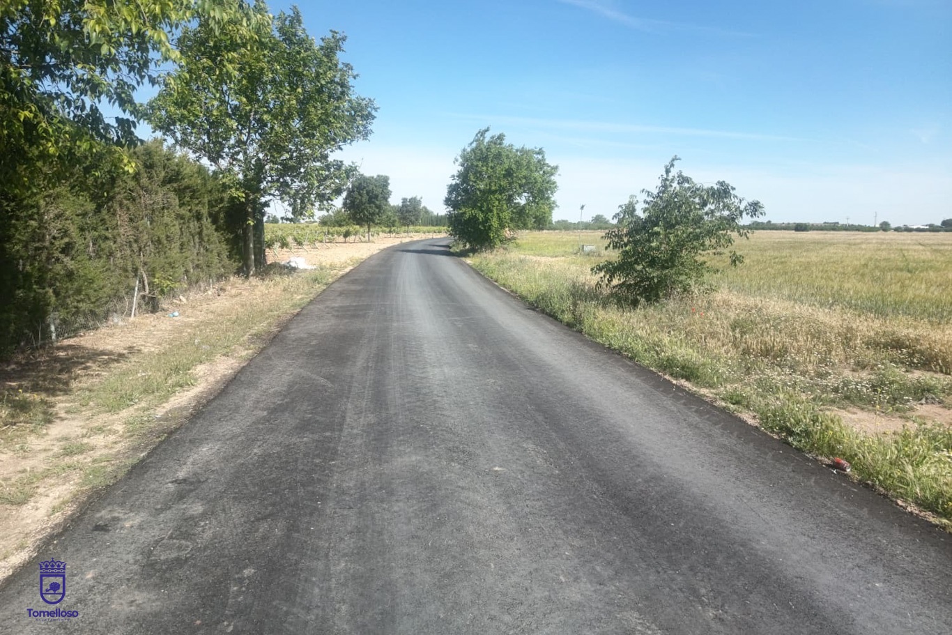 Camino de Alcázar