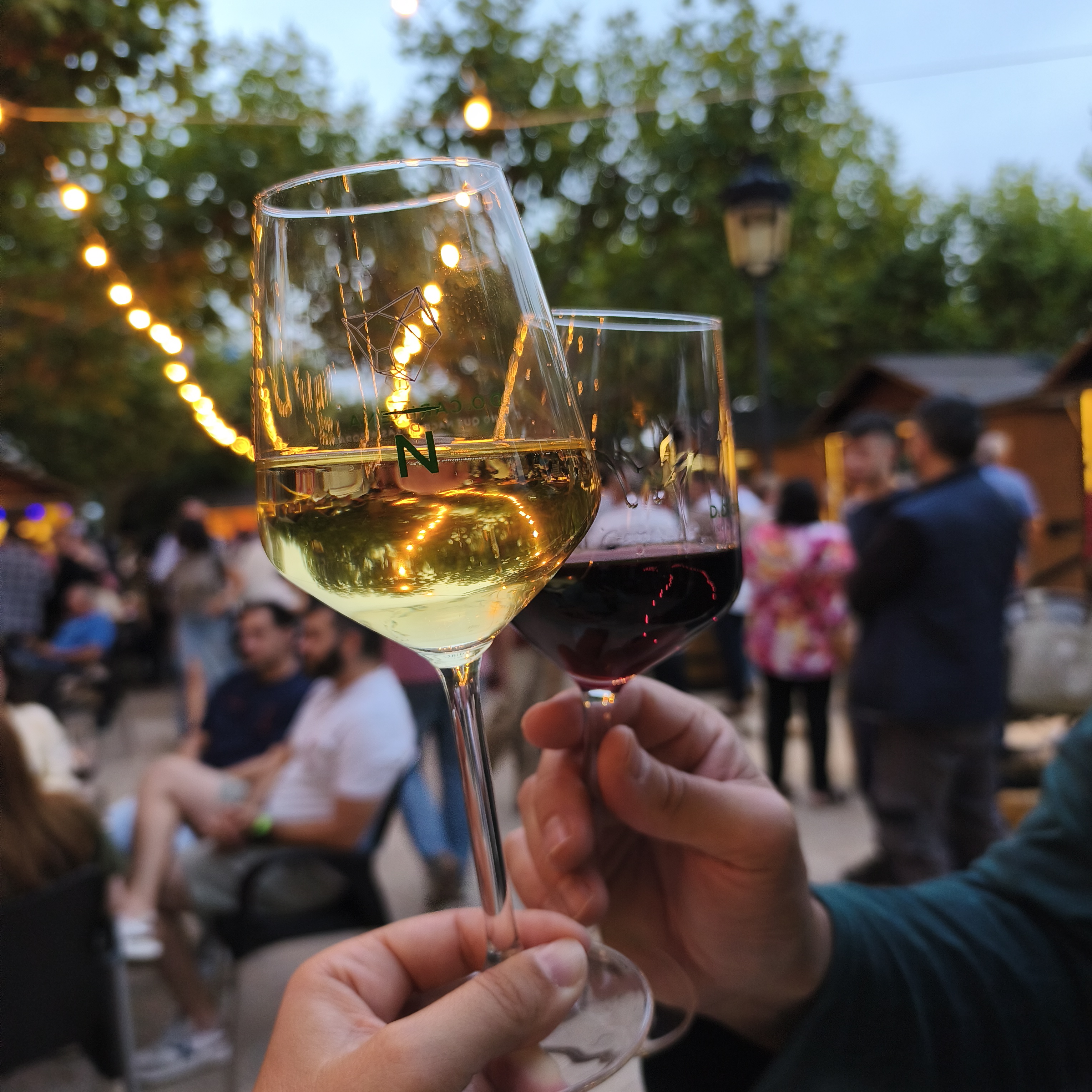 Enoturismo por Aragón: historia, bodegas y curiosidades